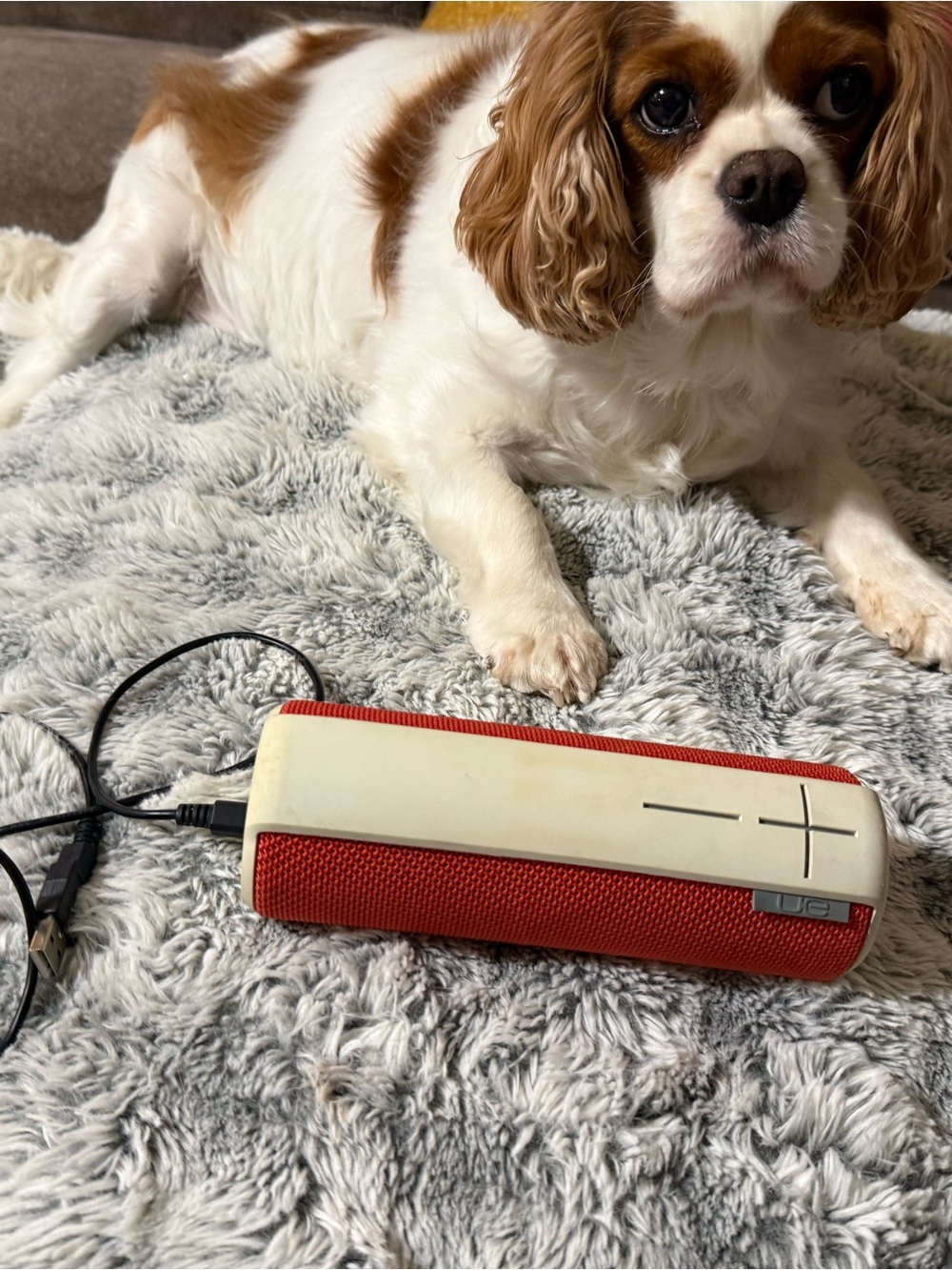 UE Boom Red Portable Bluetooth Speaker with White Accents
